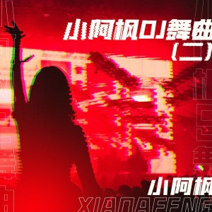 Album 小阿枫DJ舞曲(二) oleh 小阿枫