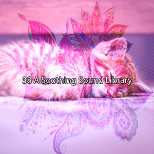 Healing Music的專輯38 A Soothing Sound Library