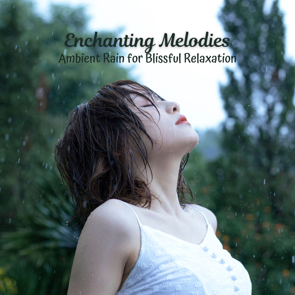 Rainfall's Restful Rhythm