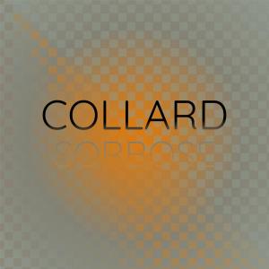 Collard Sorbose dari Various