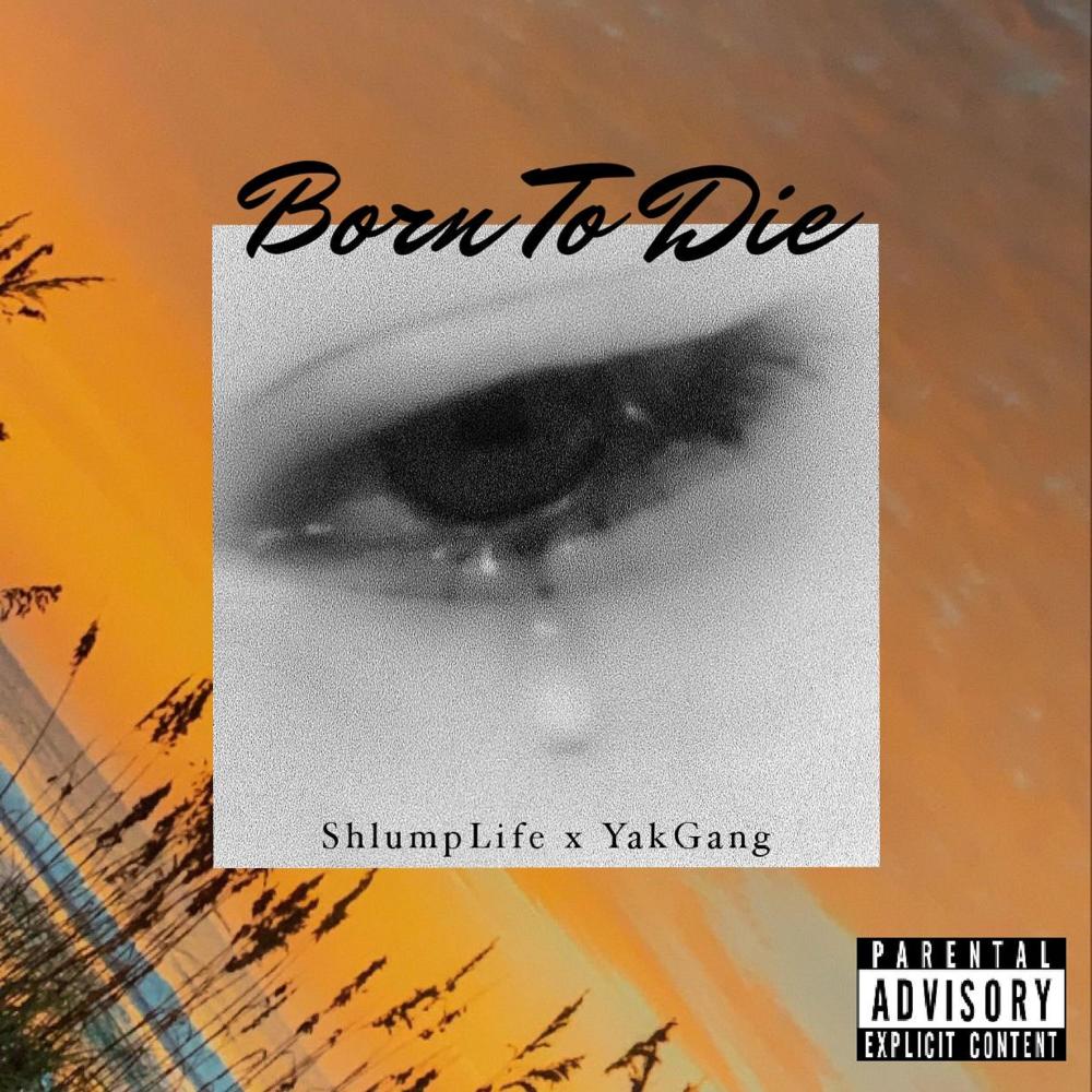Born To Die (Explicit)