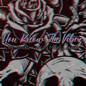 Listen to You Know The Vibez (feat. Woza Lepsiie) song with lyrics from Mr Smallz