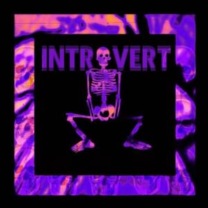 收聽Tennessee Kid的Simpleton Kid (Introvert Remix) (Explicit) (Introvert Remix|Explicit)歌詞歌曲