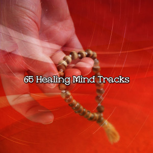 Album 65 Healing Mind Tracks oleh Meditation Zen Master
