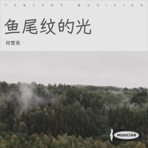 Album 鱼尾纹的光 from 何雪亮