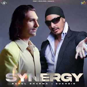 Sukhbir的專輯SYNERGY