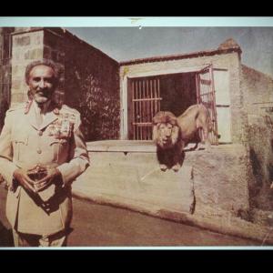 ดาวน์โหลดและฟังเพลง King of Kings พร้อมเนื้อเพลงจาก Don MadDonald