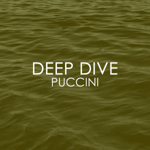 อัลบัม Deep Dive - Puccini ศิลปิน Chopin----[replace by 16381]