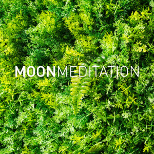 Album Calm Shores from Moon Tunes
