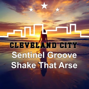 Sentinel Groove的專輯Shake That Arse