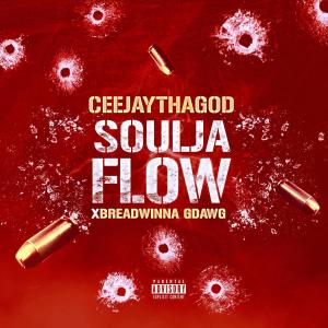 ดาวน์โหลดและฟังเพลง Soulja Flow (feat. Breadwinna Gdawg) (Explicit) พร้อมเนื้อเพลงจาก CeeJayThaGod