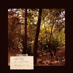 Album If I Could Cross the Space to You from Stray Ghost
