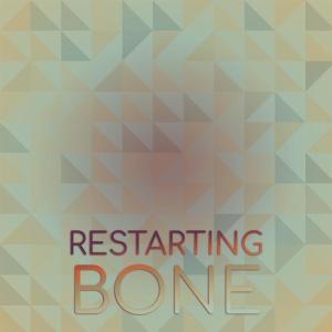 Various的专辑Restarting Bone