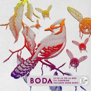 Listen to Fly Charging song with lyrics from Boda