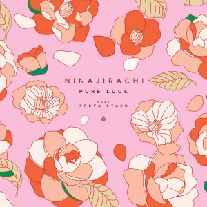 收聽Ninajirachi的Pure Luck歌詞歌曲