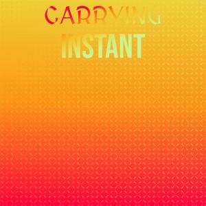 Various的专辑Carrying Instant