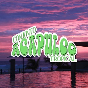 收聽Conjunto Acapulco的Vicky歌詞歌曲