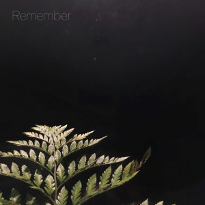 Album Remember oleh 롱드라이브