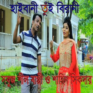 Sabuj Shil Bappi的专辑হাইবানি তুঁই বিরানী