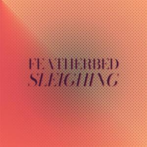 Various Artists的專輯Featherbed Sleighing