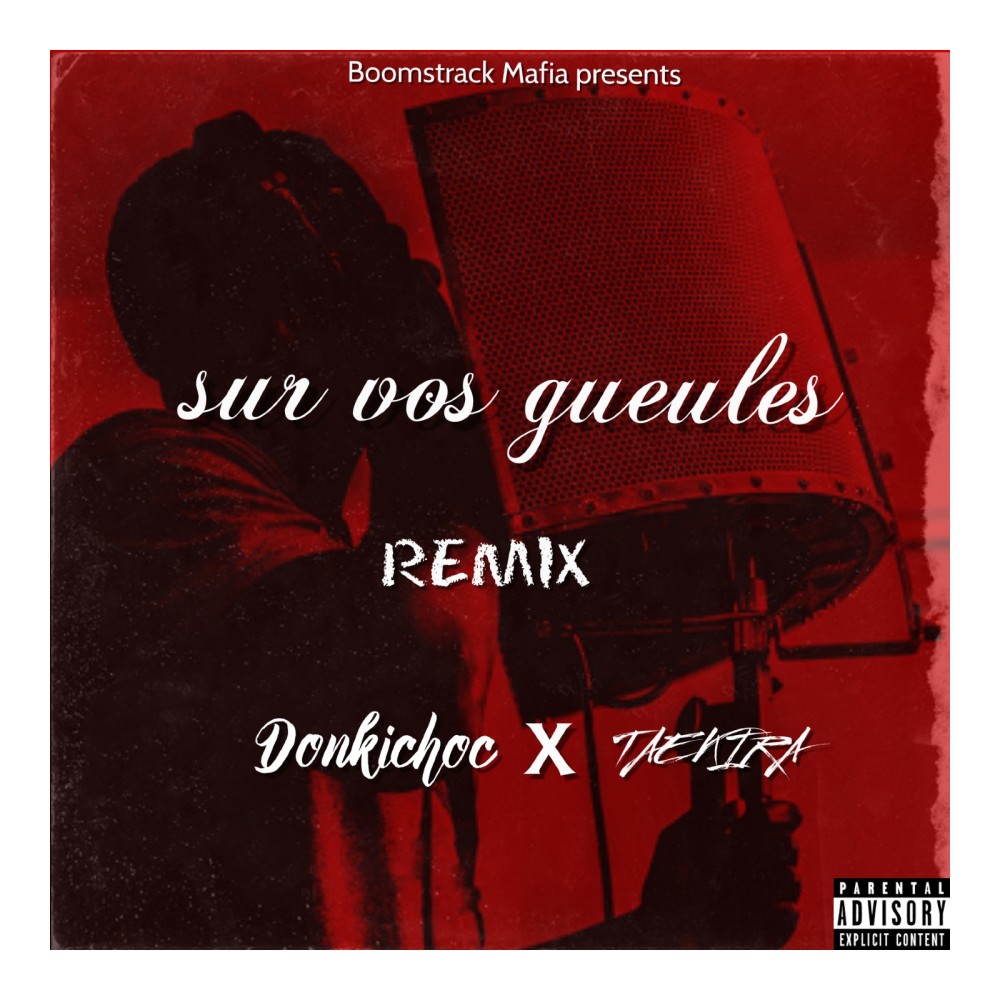 Sur vos gueules (Remix) (Explicit) (Remix|Explicit)