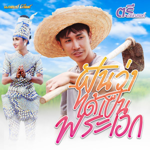 ดาวน์โหลดและฟังเพลง ฝันว่าได้เป็นพระเอก พร้อมเนื้อเพลงจาก ตรี ชัยณรงค์