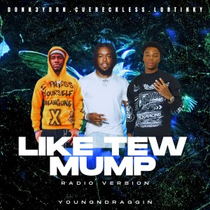 ดาวน์โหลดและฟังเพลง Like Tew Mump (Radio Version) พร้อมเนื้อเพลงจาก Donn3ydon