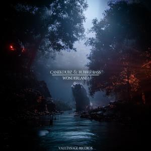 ดาวน์โหลดและฟังเพลง Wonderland (Explicit) พร้อมเนื้อเพลงจาก CanekDubz