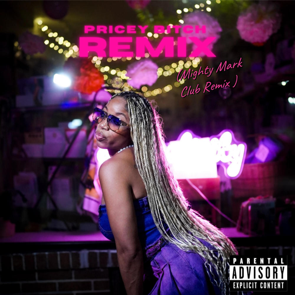 Pricey ***** (Mighty Mark Remix Acappella|Explicit)
