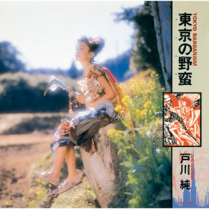ดาวน์โหลดและฟังเพลง パンク蛹化の女 (2016 Remaster) พร้อมเนื้อเพลงจาก Jun Togawa