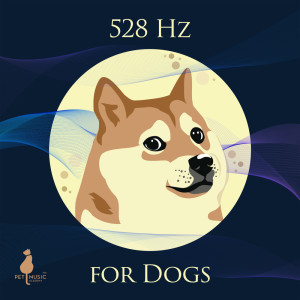 Album 528 Hz for Dogs (Healing Frequency Music for Animals and Humans, Nature Sounds for Sleepy Time) oleh Pet Music Academy
