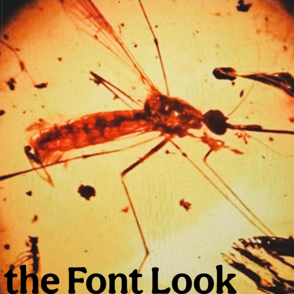 Font Look (Explicit)