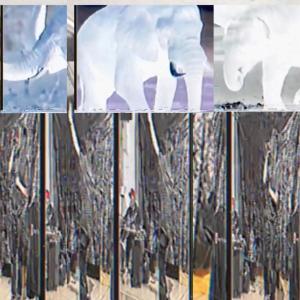 ดาวน์โหลดและฟังเพลง ELEFANTE (Explicit) พร้อมเนื้อเพลงจาก devin.