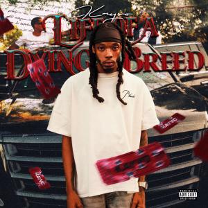 Kayvo的專輯Life Of A Dying Breed (Explicit)