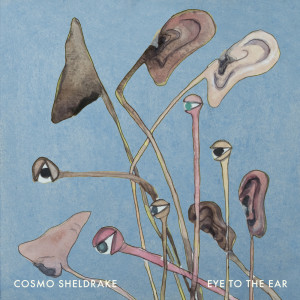 Cosmo Sheldrake的專輯Eye To The Ear