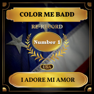 Color Me Badd的专辑I Adore Mi Amor (Billboard Hot 100 - No 1)