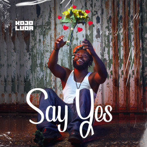 Album Say Yes from 
