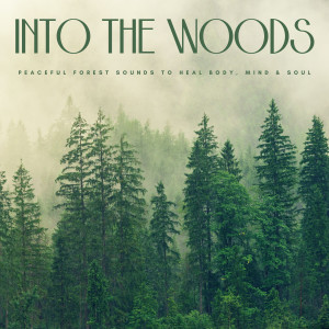 Album Into The Woods: Peaceful Forest Sounds To Heal Body, Mind & Soul from Spa Relaxation & Spa