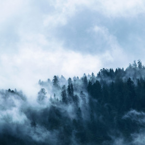 Listen to Mist in the Window song with lyrics from Sleep Sounds of Nature