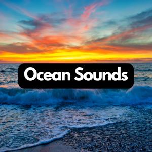 Album Neptune's Lullaby: Soothing Ocean Music from Calming Ocean