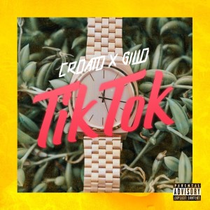 Listen to Tik Tok song with lyrics from Croato