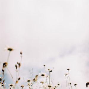 Album Her from umys