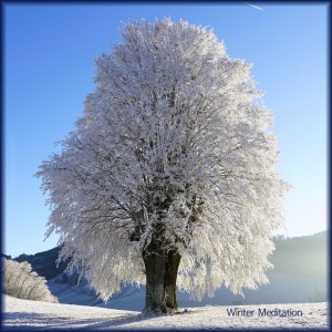 收听레온 LEON的Winter Meditation歌词歌曲