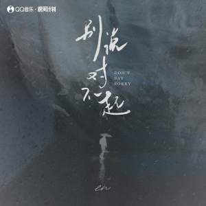 Album 别说对不起 oleh en