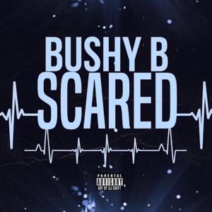 อัลบัม Scared (Sped Up) (Explicit) ศิลปิน Bushy B