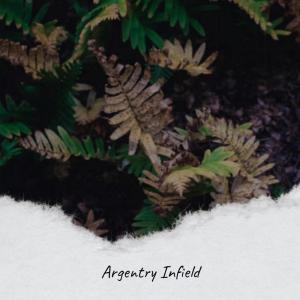 Dengarkan lagu Argentry Infield nyanyian Daan Sastro dengan lirik