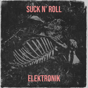 Listen to Suck n' roll song with lyrics from Elektronik