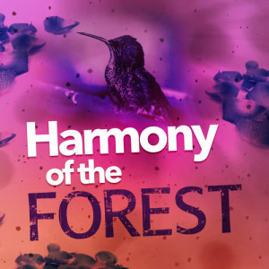 Harmony of the Forest