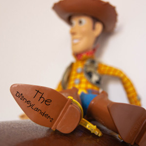 The Disneylanders的专辑Cowboy Woody