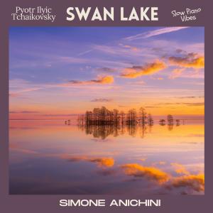 Swan Lake dari Simone Anichini